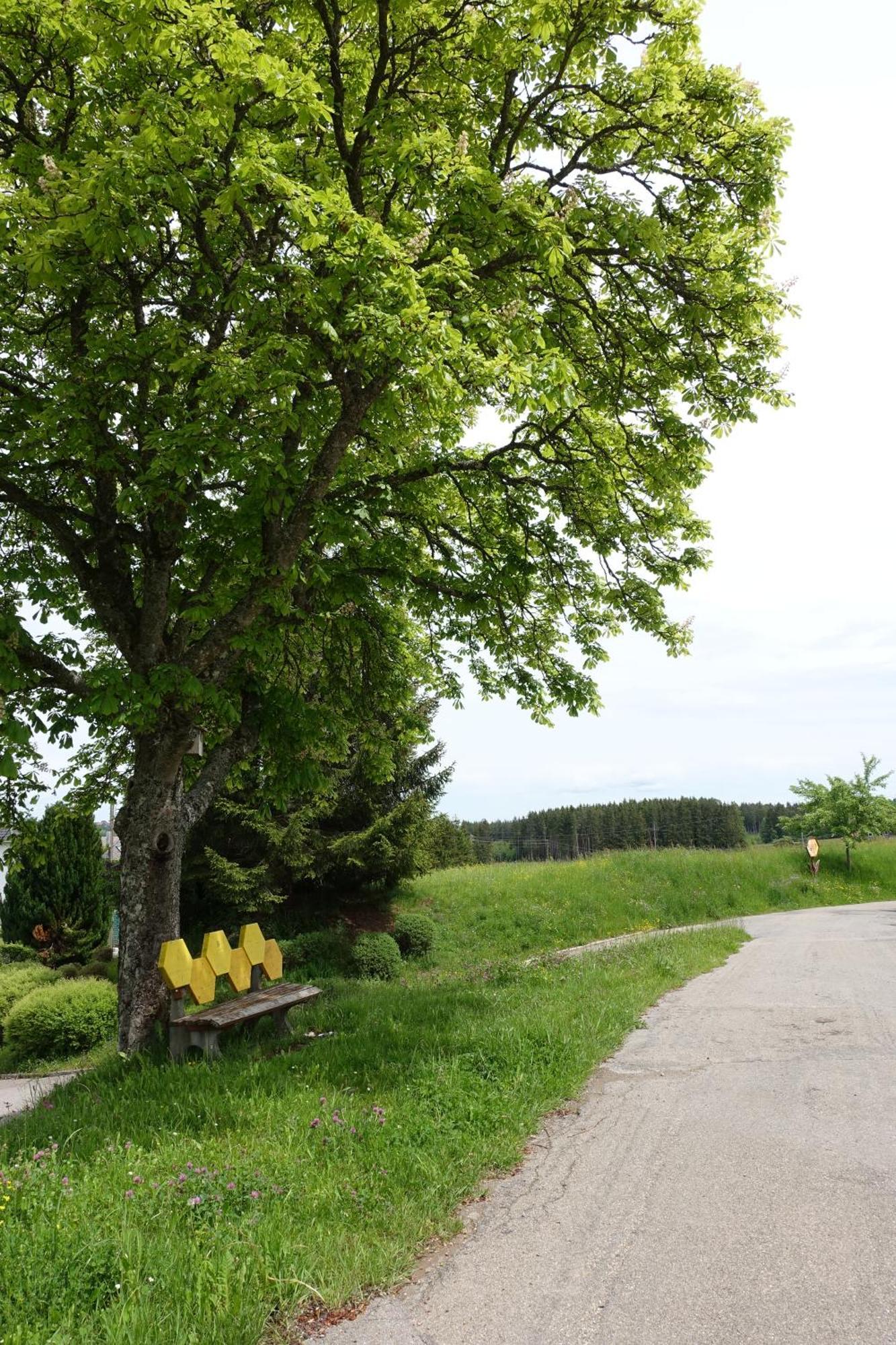 Blick In Den Garten Holzschlag Екстер'єр фото